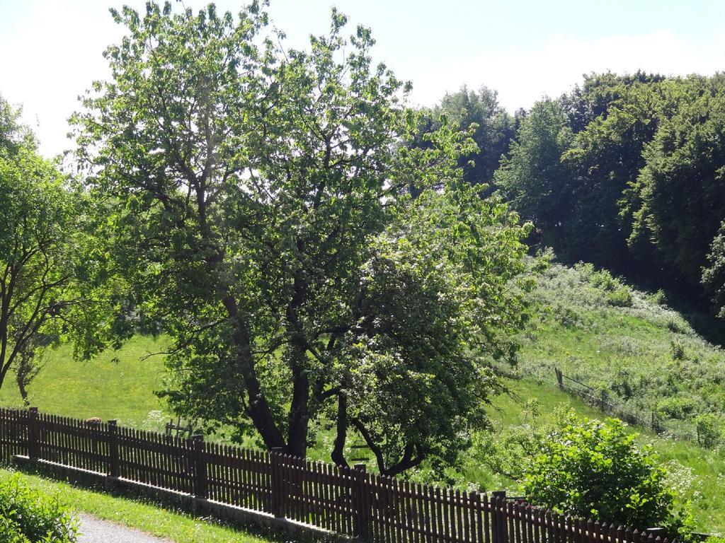 Lauras Landhauspension Medebach Kültér fotó
